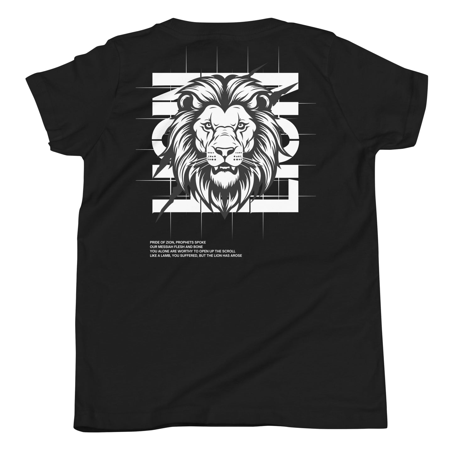 youth lion of judah brandon lake -shirt